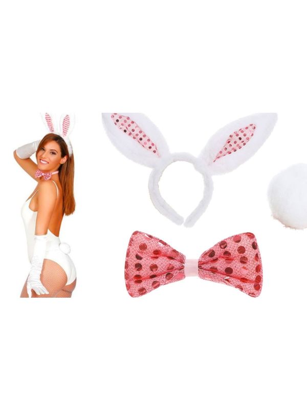 Set Bunnygirl Accessoires