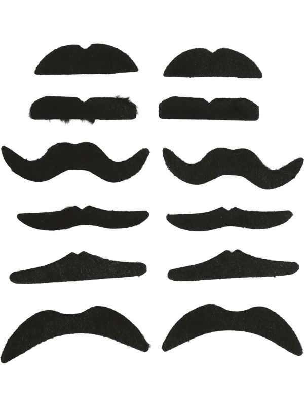 Set Van 12 Assorti Snorren Zwart