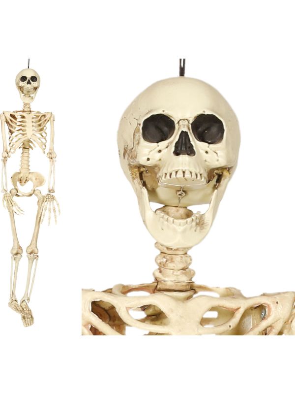 Skelet Decoratie 90cm