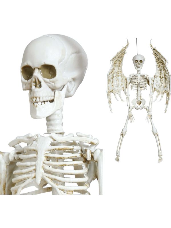 Skelet met Vleugels Hang Decoratie