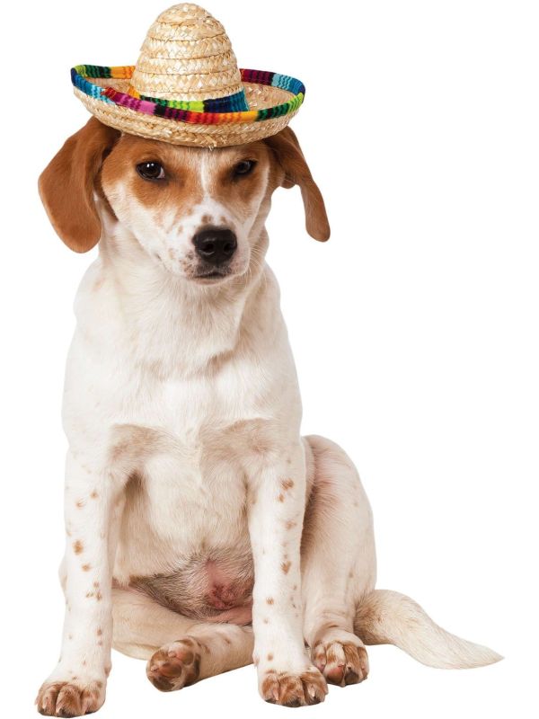 Sombrero Voor Honden