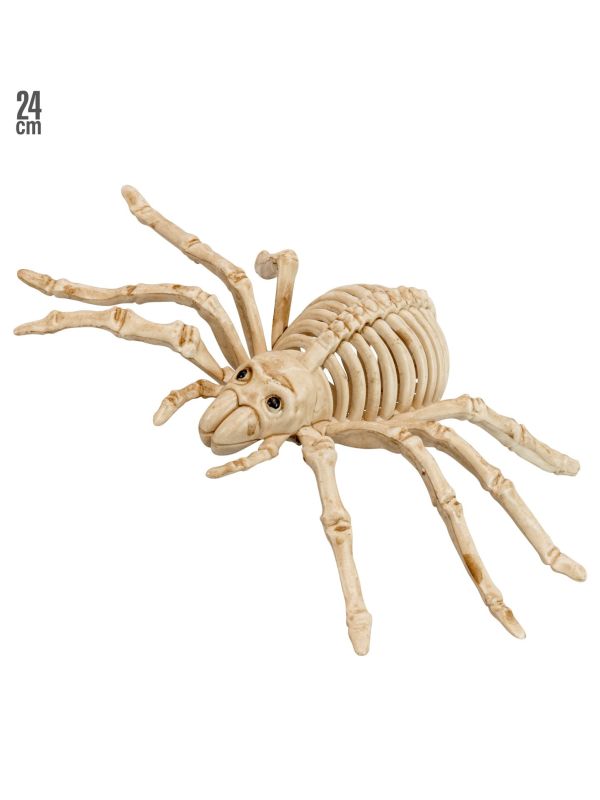 Spinnenskelet Halloween Decoratie