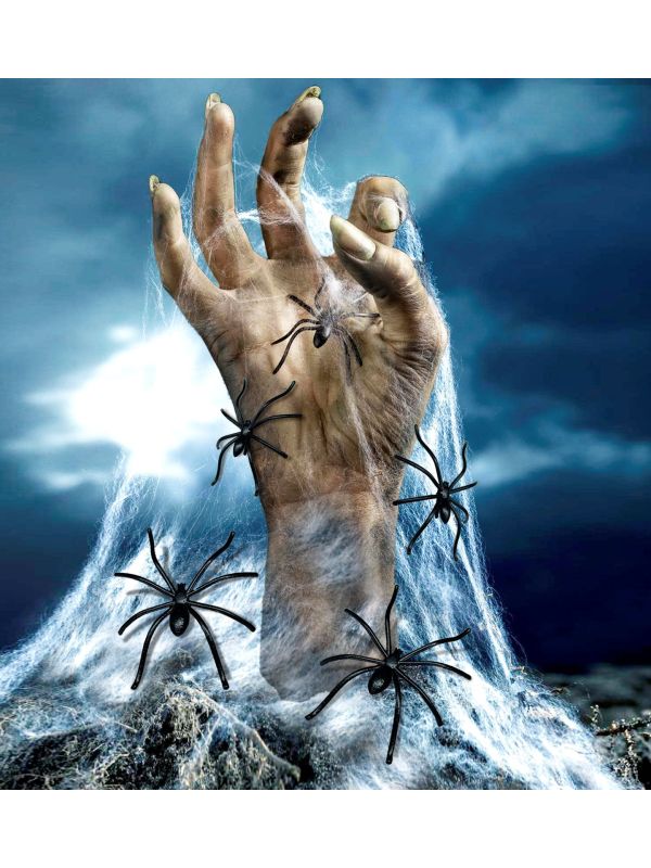 Spinnenweb met 20 Spinnen