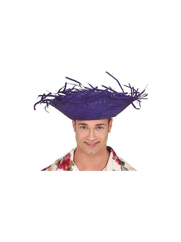 Strohoed Vogelverschrikker Blauw