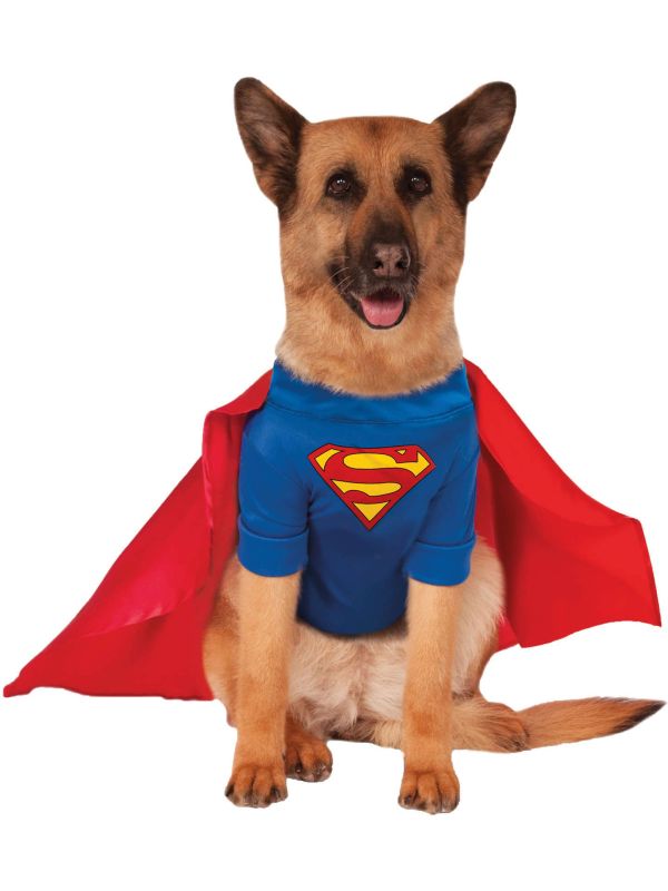 Superman Kostuum voor Honden