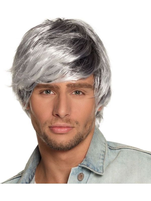 Tyler Grijze Pruik Heren