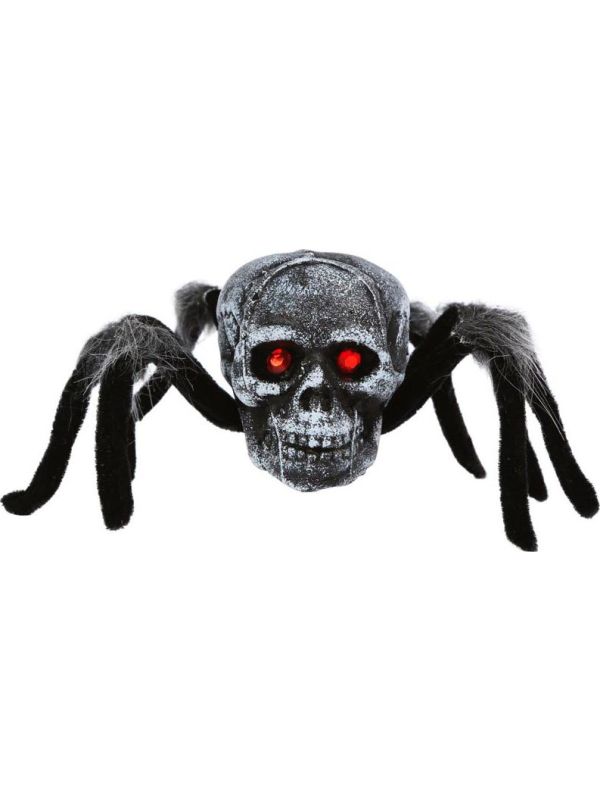 Vogelspin met Schedel
