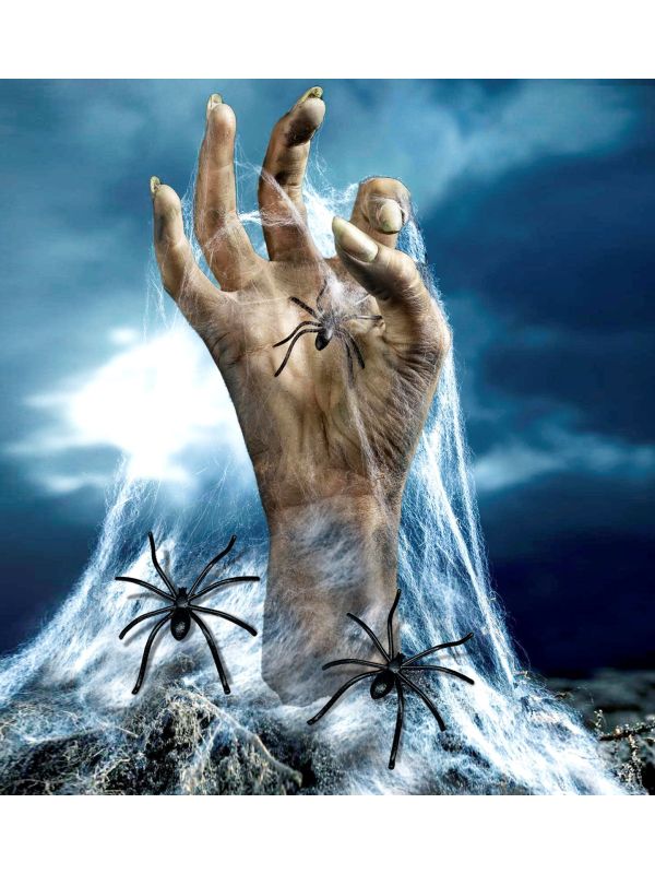 Wit Spinnenweb met 3 Spinnen