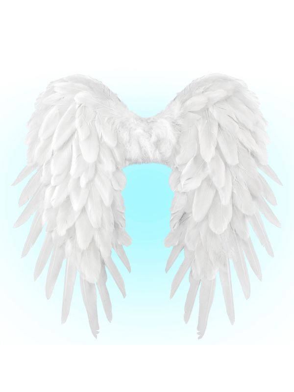 Witte Opvouwbare Vleugels Accessoire
