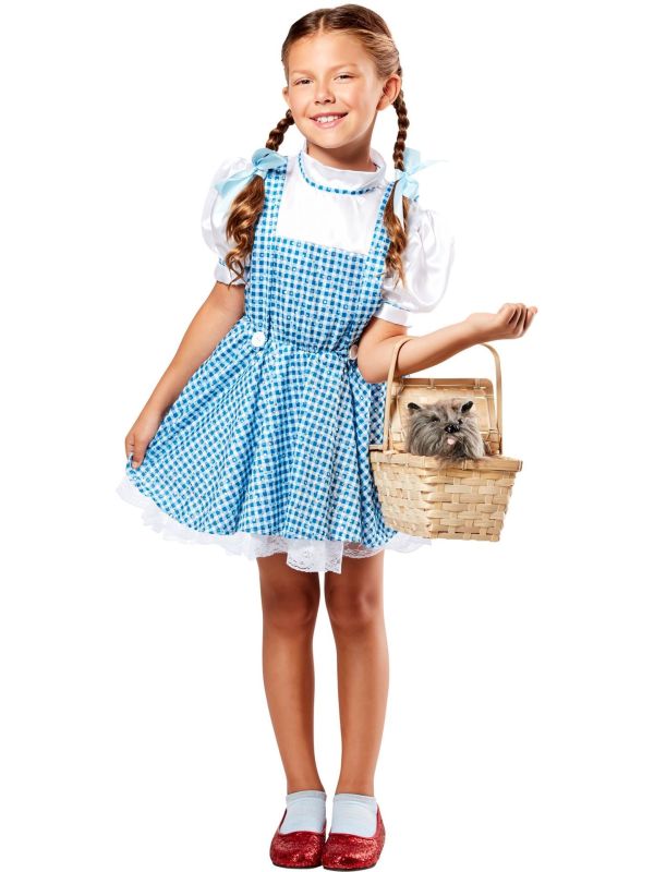 Wizard of Oz Dorothy Kostuum Meisjes WB Classic