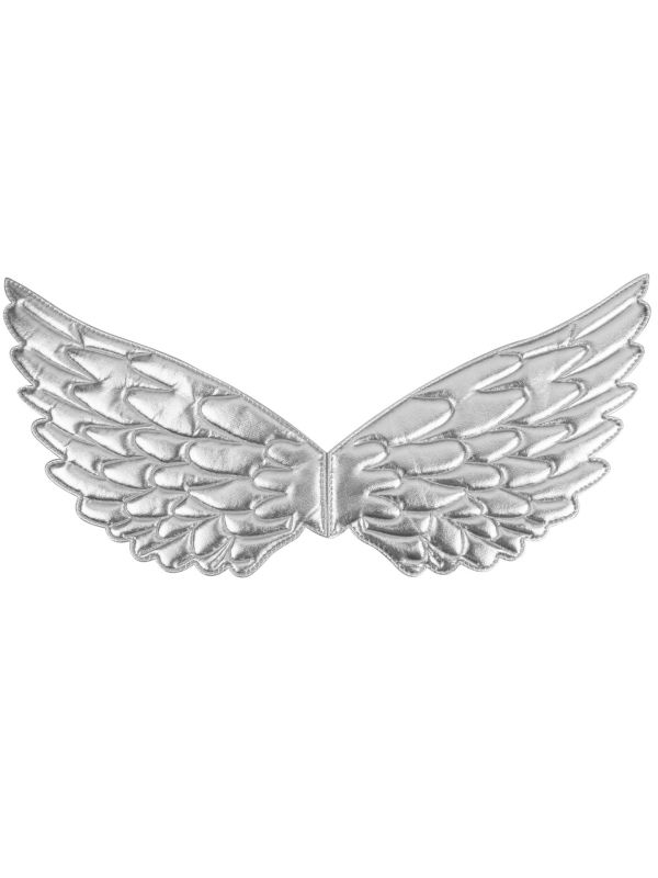 Zilver Engel Vleugels Accessoire
