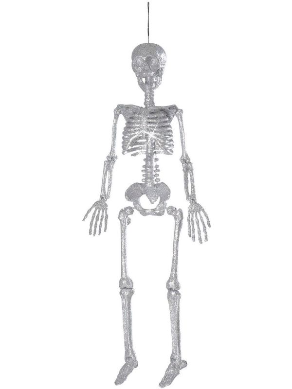 Zilveren Glitter Skelet