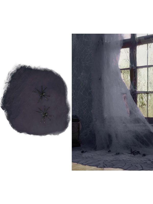 Zwart Spinnenweb Halloween