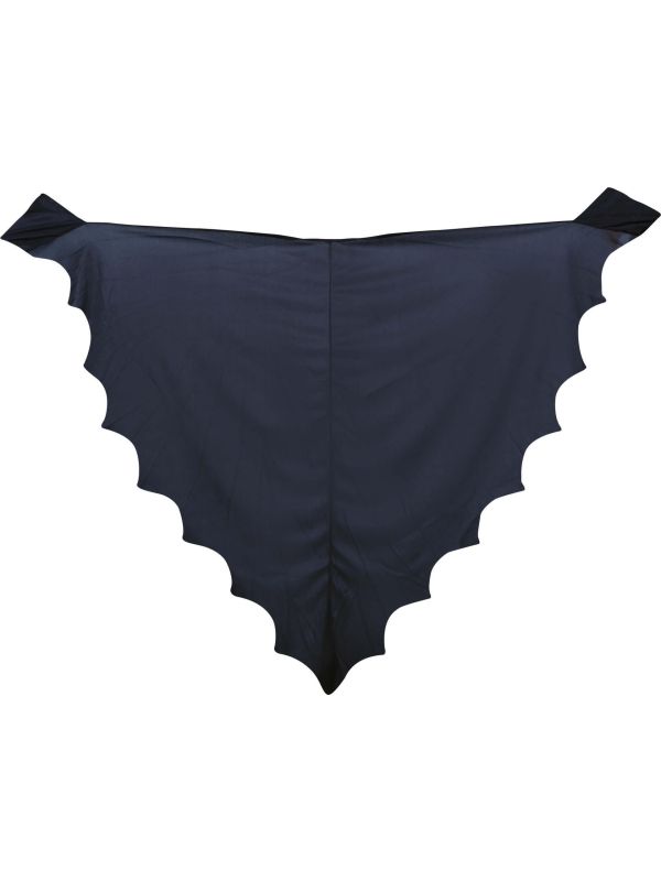 Zwarte Vleermuis Cape Kind