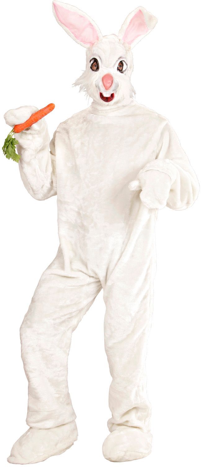 Mascotte Pak Kopen Veel Keus Shop Nu Carnavalskleding Nl