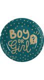 10 Gender Reveal Party Papieren Bordjes