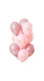 12 Ballonnen Elegant Lush Blush 30cm