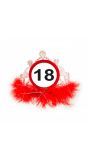 18 Jaar Verkeersbord Tiara