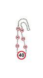 40 Jaar Verkeersbord Ketting