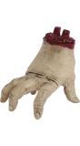 Afgehakte Zombie Hand Decoratie