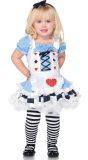 Alice In Wonderland Outfit