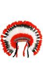 Amerikaanse Indianen Hoofdtooi