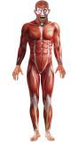 Anatomie Man Kostuum Rood