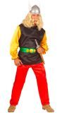 Asterix De Galliër Kostuum