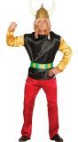 Asterix Kostuum