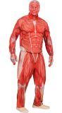 Attack on Titan Colossal Kostuum Heren