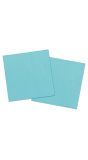 Baby Blauwe Servetten 20 Stuks