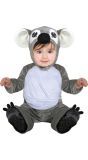 Baby Koala Kostuum