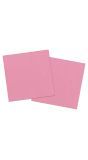 Baby Roze Servetten 20 Stuks