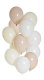 Ballonnen set Lichtkleurig