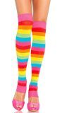 Beenwarmers Regenboog