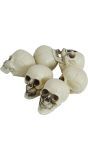 Beige Schedels 6cm set Van 6