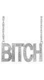 Bitch Ketting Zilver Carnaval