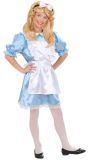 Blauw Kamermeisje Kostuum Kind