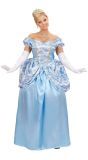 Blauwe Prinses Kostuum