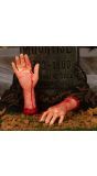 Bloederige Afgehakte Hand