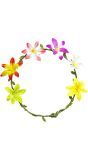 Bloemetjes Hoofdband