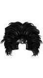 Braziliaanse Veren Hoofdtooi Zwart
