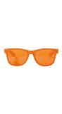 Bril Blues Brothers Oranje