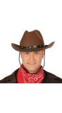 Bruine Cowboyhoed Vilt