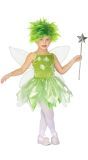 Carnaval Tinkerbell Meisjes