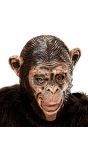 Chimpansee Masker Kind