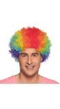 Clown Poppy Afro Pruik Veelkleurig