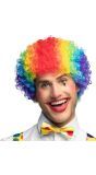 Curly Clown Pruik Veelkleurig