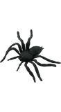 Decoratie Spinnen set Van 8