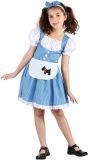 Dorothy Kostuum Meisjes Wizard Of Oz